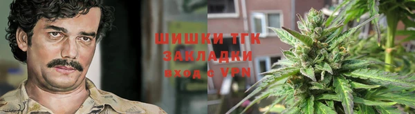 спиды Горно-Алтайск