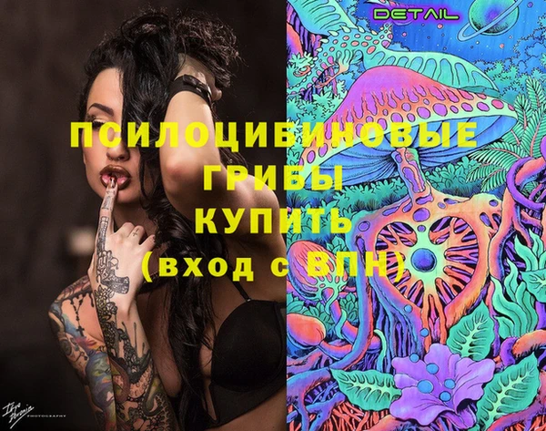 спиды Горно-Алтайск
