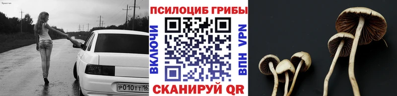 Галлюциногенные грибы Psilocybine cubensis Купить Нижняя Тура